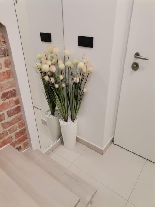 Studio Apartman Lenox Rijeka Exterior photo